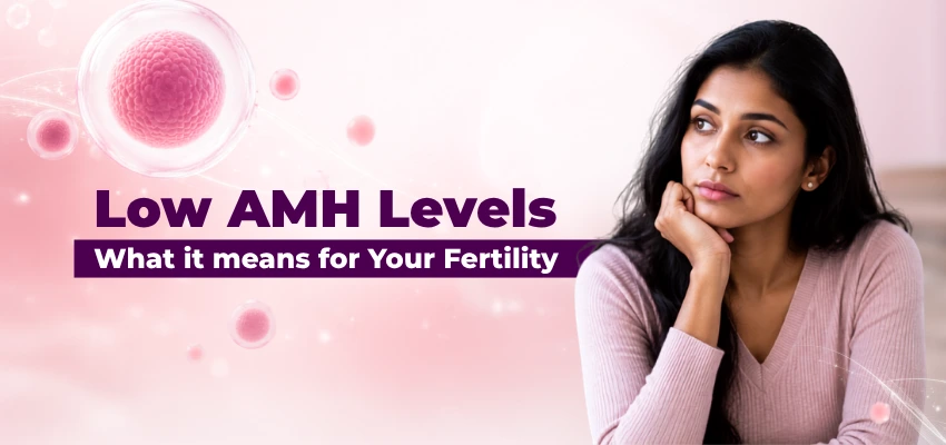  Low AMH Levels What It Means for Your Fertility 